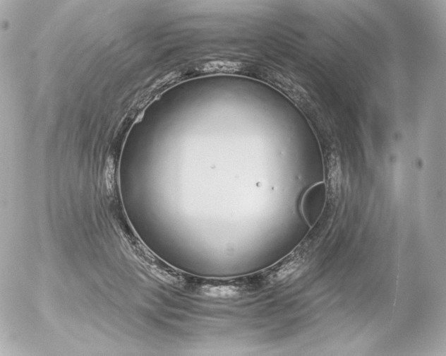 X0000052650649200507221843