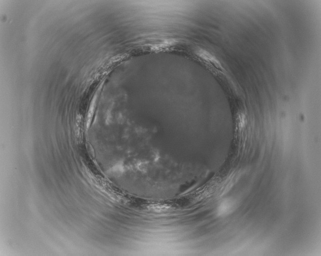 X0000052650650200507221843