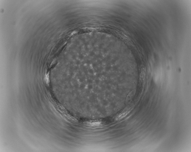 X0000052650651200507221843