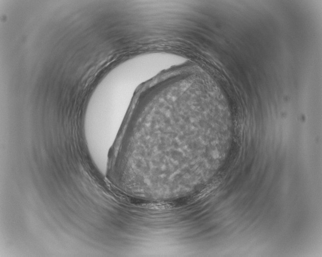 X0000052650652200507221843