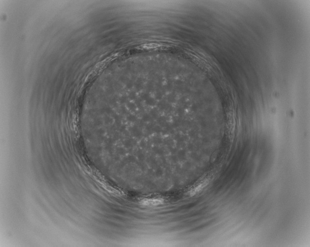 X0000052650653200507221843