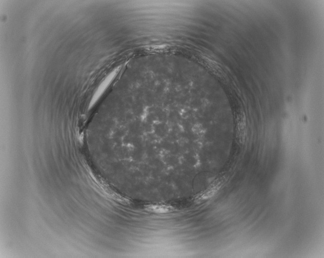 X0000052650654200507221843