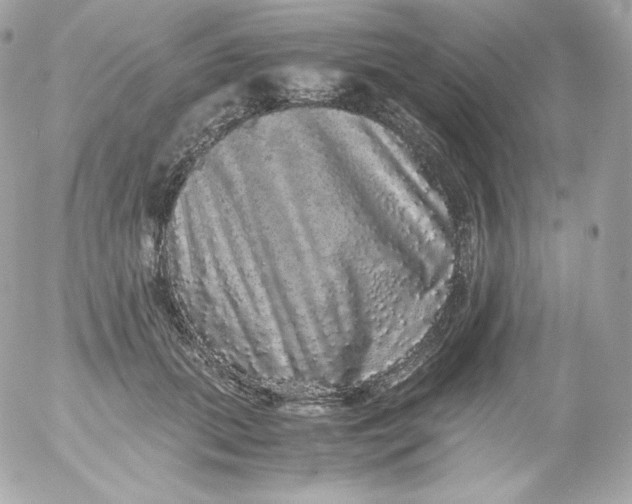 X0000052650655200507221843