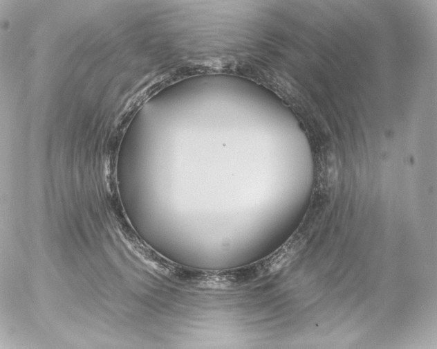 X0000052650656200507221843