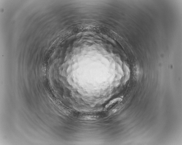 X0000052650657200507221843