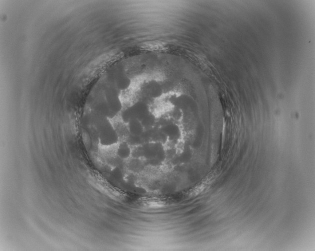 X0000052650658200507221843