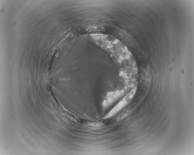 X0000052650659200507221843