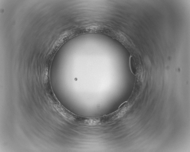 X0000052650660200507221843