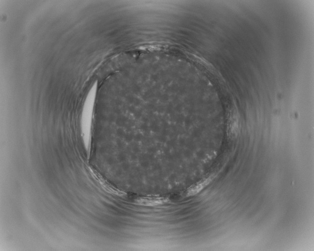 X0000052650661200507221843