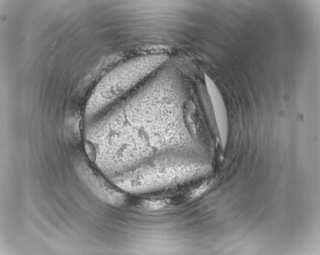 X0000052650662200507221843