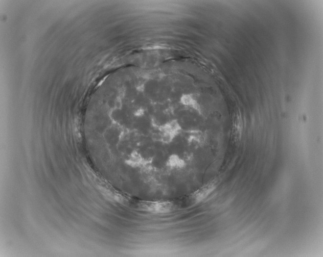 X0000052650663200507221843