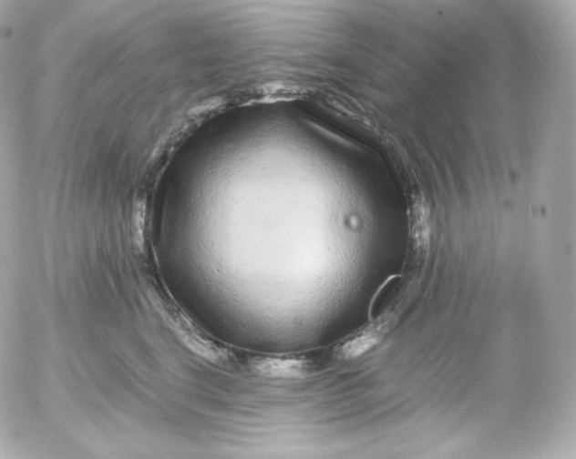 X0000052650664200507221843