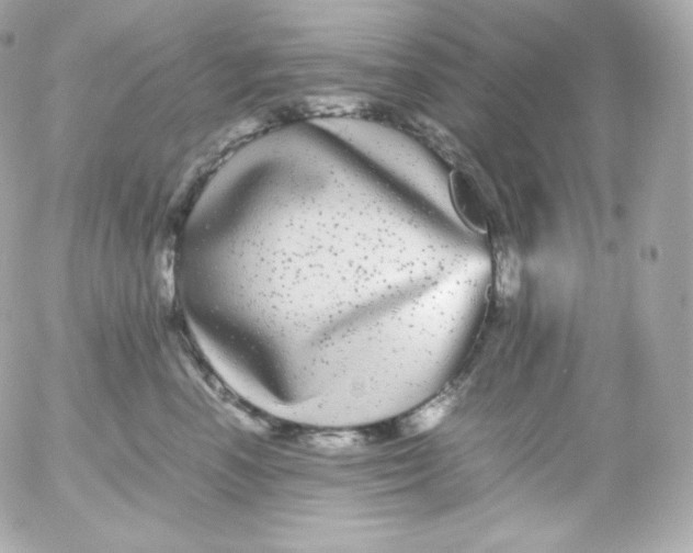 X0000052650666200507221843