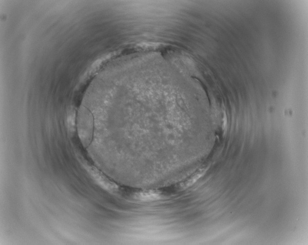 X0000052650668200507221843