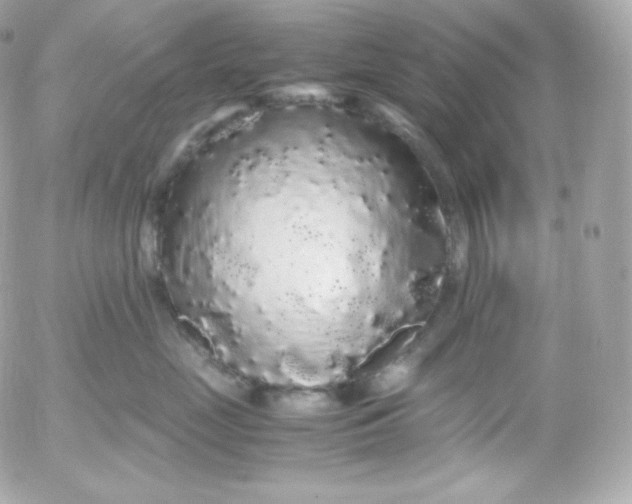 X0000052650669200507221843