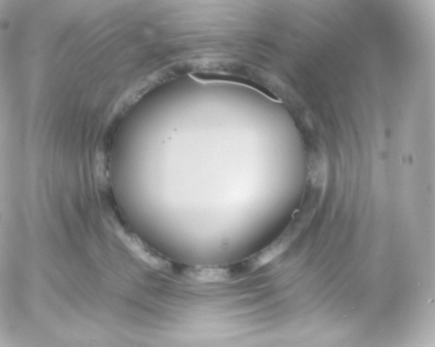 X0000052650670200507221843