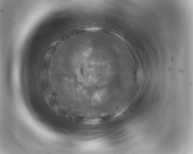 X0000052650671200507221843