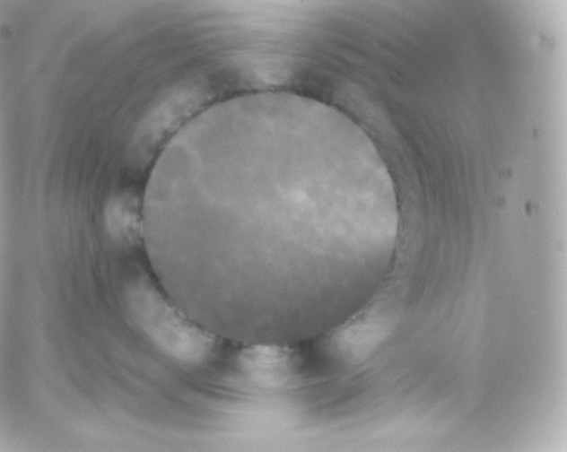 X0000052650672200507221843