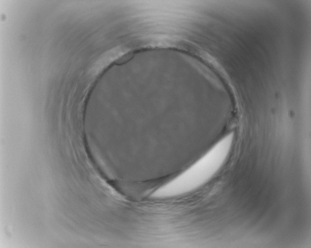 X0000052650673200507221842