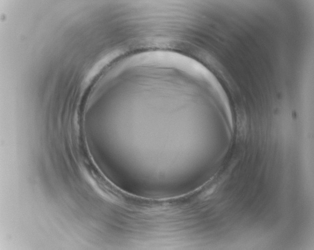 X0000052650674200507221842