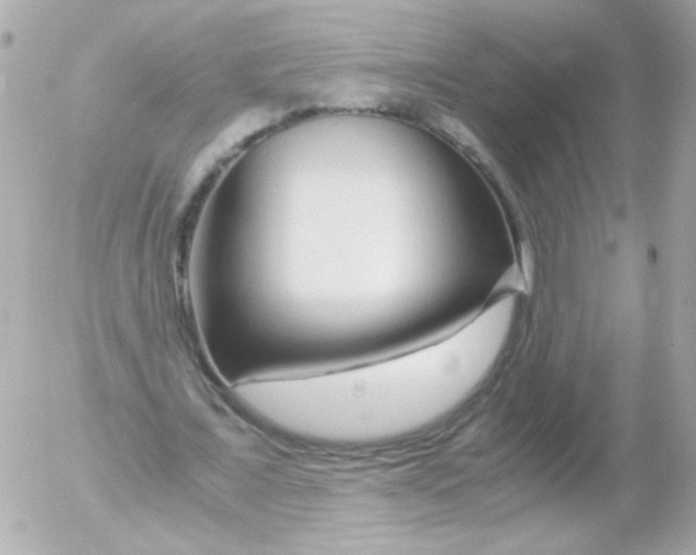 X0000052650675200507221842