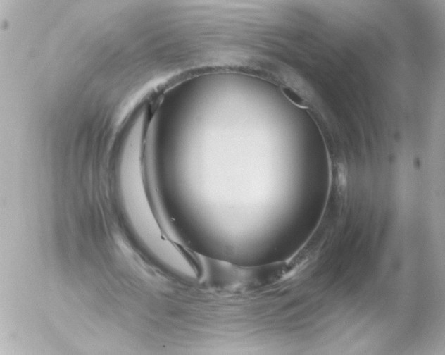 X0000052650676200507221842