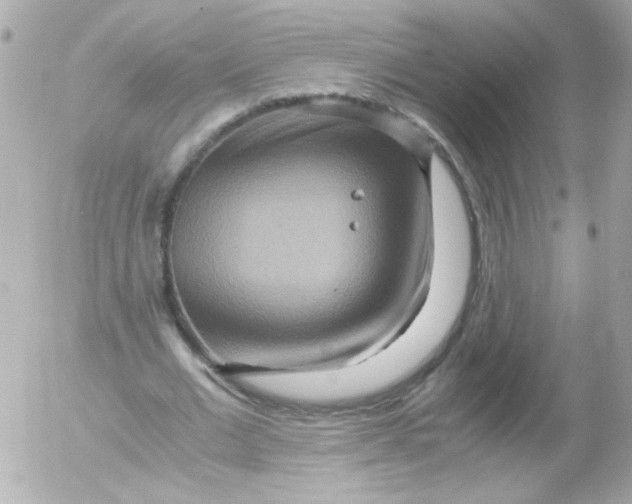 X0000052650677200507221842