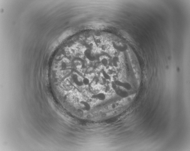 X0000052650679200507221842