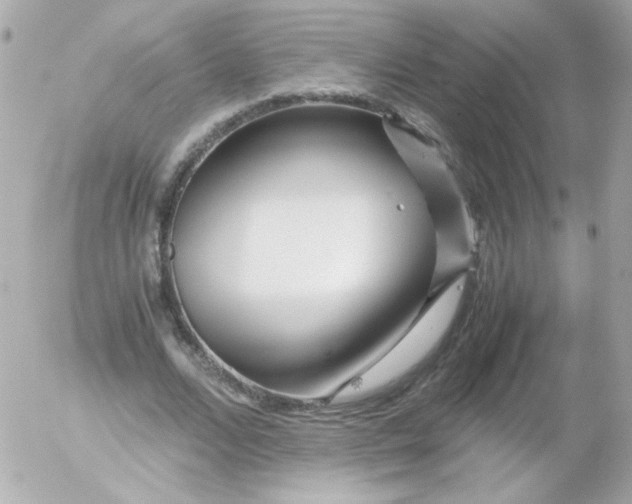 X0000052650680200507221842