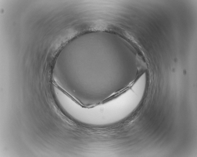 X0000052650681200507221842