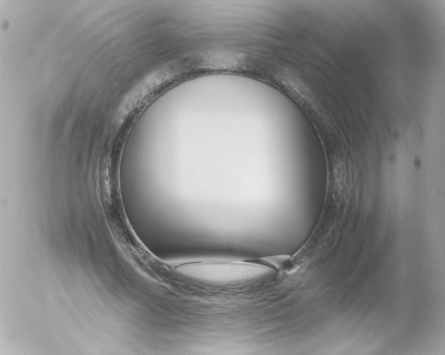 X0000052650682200507221842