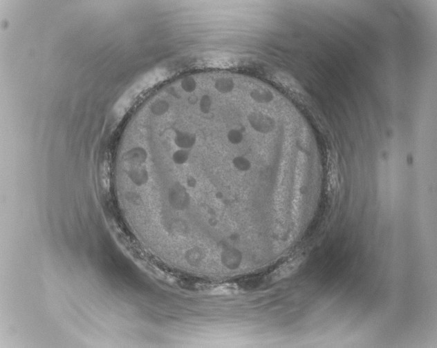 X0000052650683200507221842