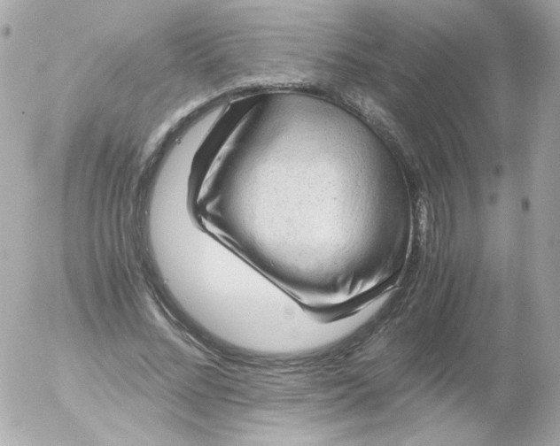 X0000052650684200507221842