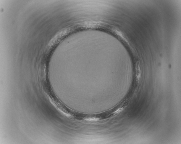 X0000052650685200507221842