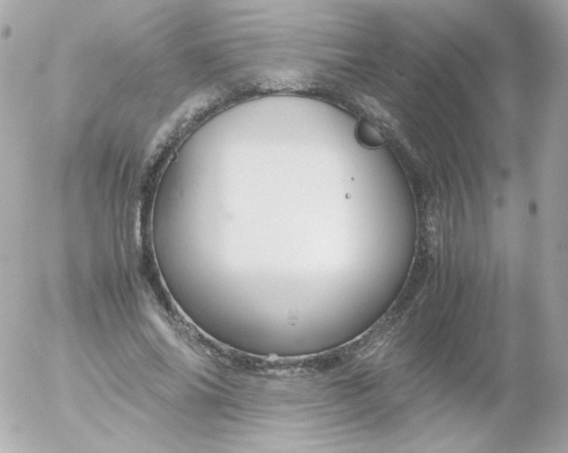 X0000052650686200507221842