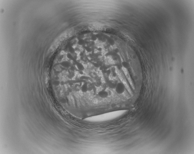 X0000052650687200507221842