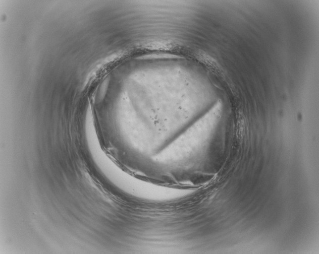 X0000052650688200507221842