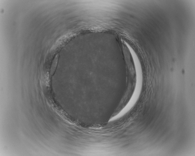 X0000052650689200507221842