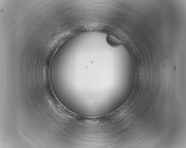 X0000052650690200507221842