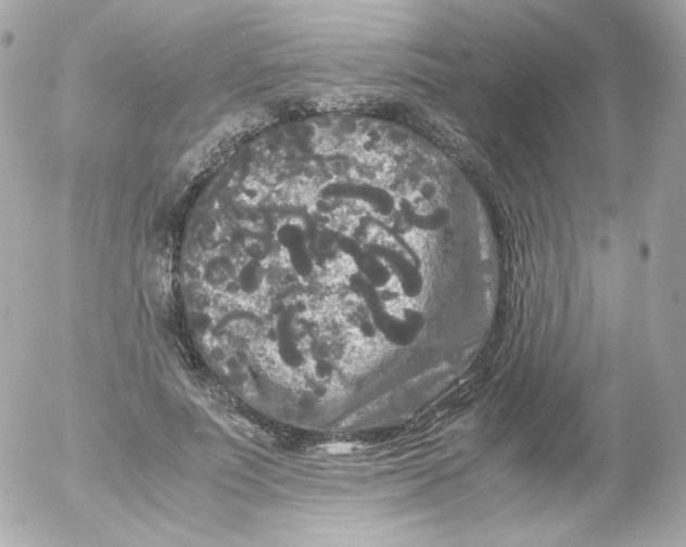 X0000052650691200507221842