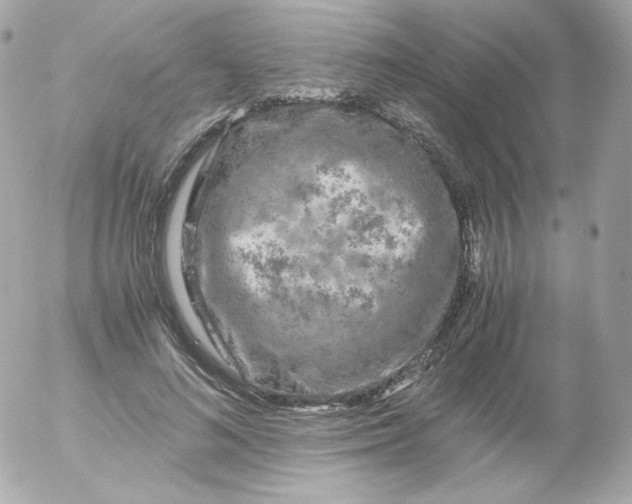 X0000052650692200507221842