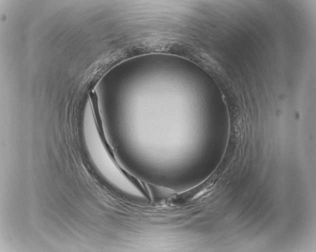 X0000052650693200507221842