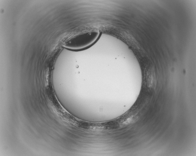 X0000052650694200507221842