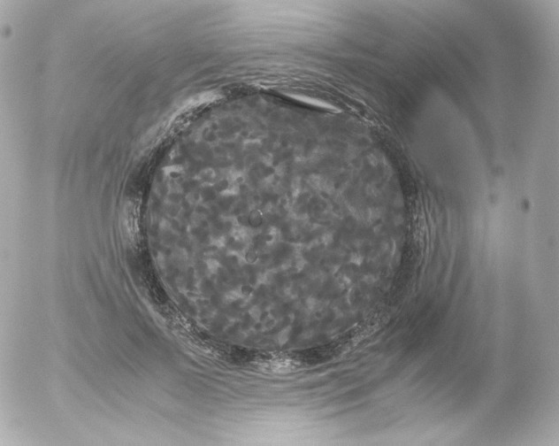 X0000052650695200507221842