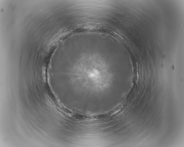 X0000052650696200507221842