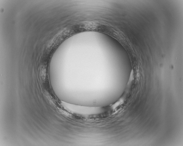 X0000052650697200507221842