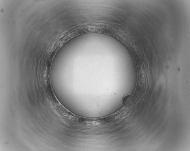 X0000052650698200507221842