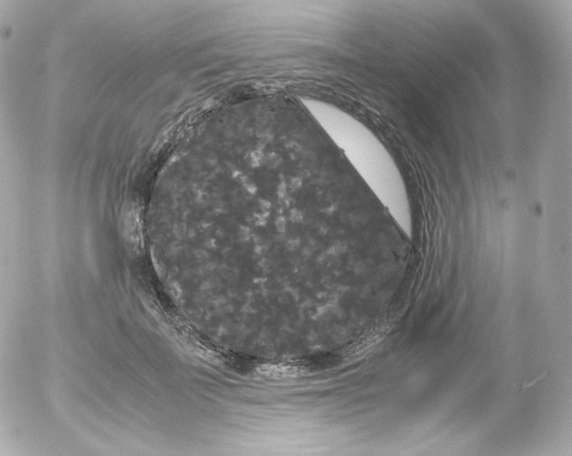 X0000052650699200507221842