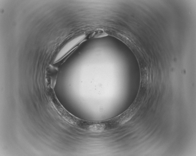 X0000052650700200507221842