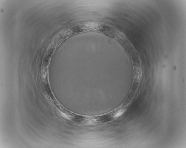 X0000052650701200507221842